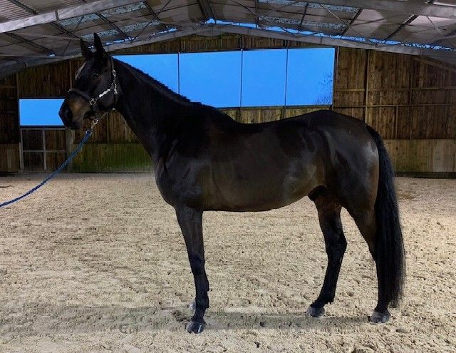 blockValue.34235f5b-d585-4de6-83d2-e8ff3e8ece5a.img_alt