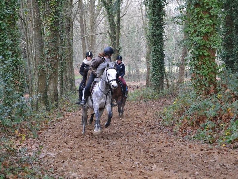 blockValue.5329a2c8-f0bb-4790-b200-e12b4e096f7f.img_alt