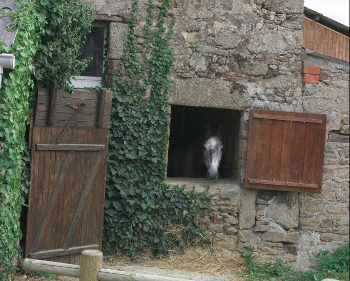 blockValue.e03d82c8-1e94-4817-964f-c38127cb30db.image.2.img_alt