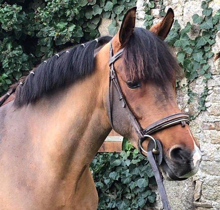 blockValue.f50e9c87-193e-4e2e-bc89-51c3a3e935c4.img_alt