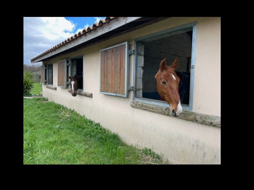 blockValue.83ab6bff-ce3f-47b7-a867-1b1e24a4dda1.img_alt