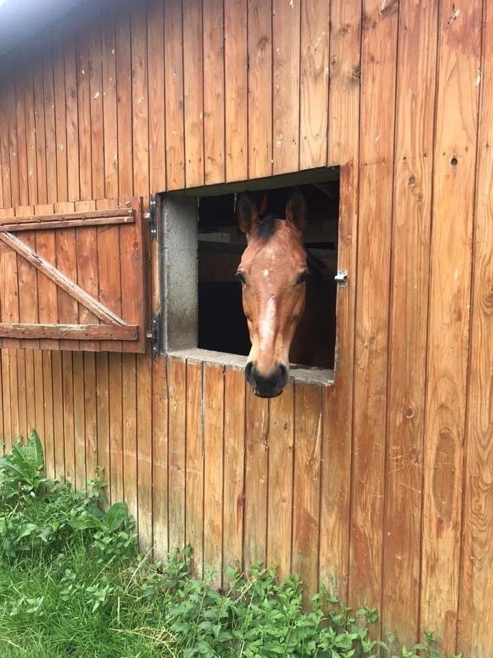 blockValue.a2c7f7f9-945a-4254-964f-9414a0fc726d.img_alt