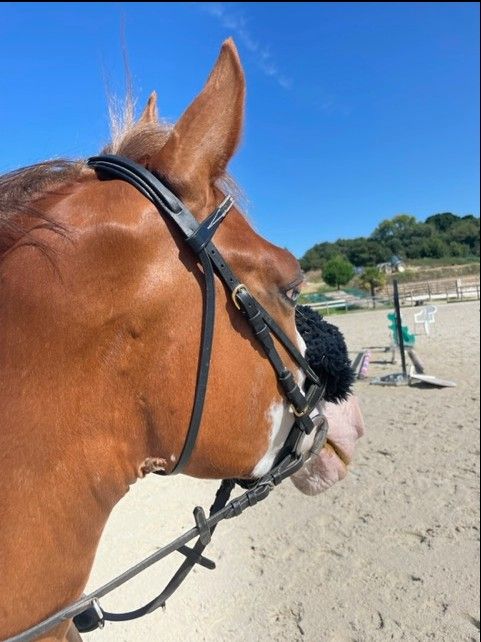 blockValue.60366d89-51a7-43da-a8bd-aaf3bb430cf0.img_alt