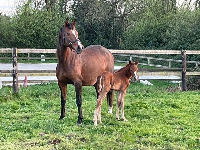 blockValue.cbe63cd0-4a65-4d2f-a483-cfa61fa2b6b0.img_alt