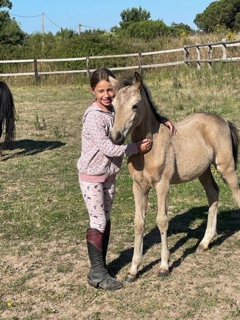 blockValue.05f1f263-d1bf-4f6c-8f89-9efcfd5a8308.img_alt