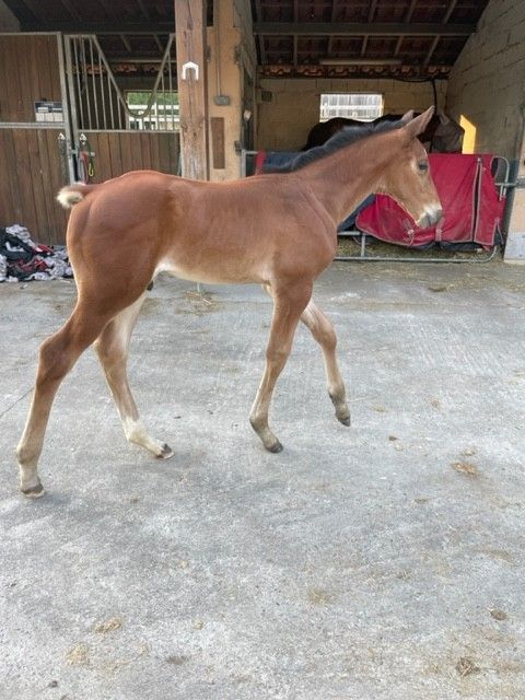 blockValue.05d22206-8bd7-4710-8118-635e36712c06.image.0.img_alt