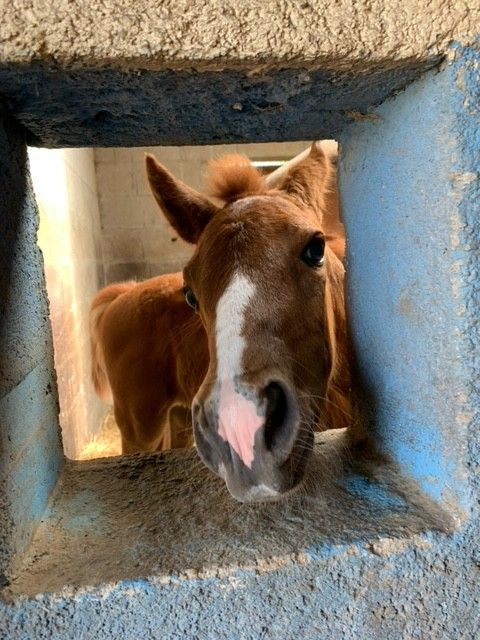 blockValue.a6e68508-7242-491a-827f-31e581f6df1d.img_alt