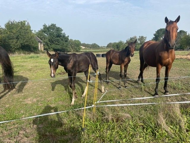 blockValue.943f2ca7-d818-4391-8f6e-34b2f205690e.image.1.img_alt