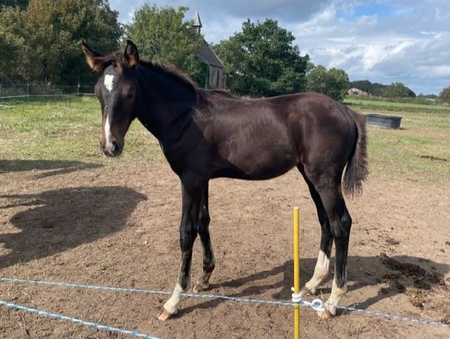 blockValue.943f2ca7-d818-4391-8f6e-34b2f205690e.image.0.img_alt