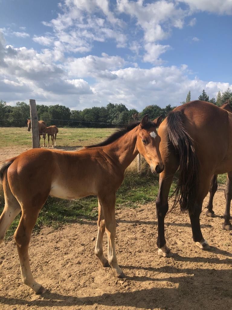 blockValue.05d22206-8bd7-4710-8118-635e36712c06.image.1.img_alt