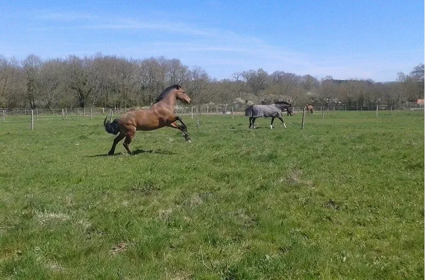 blockValue.be4dab6c-61b1-4640-875c-9355a7ec2c96.image.2.img_alt