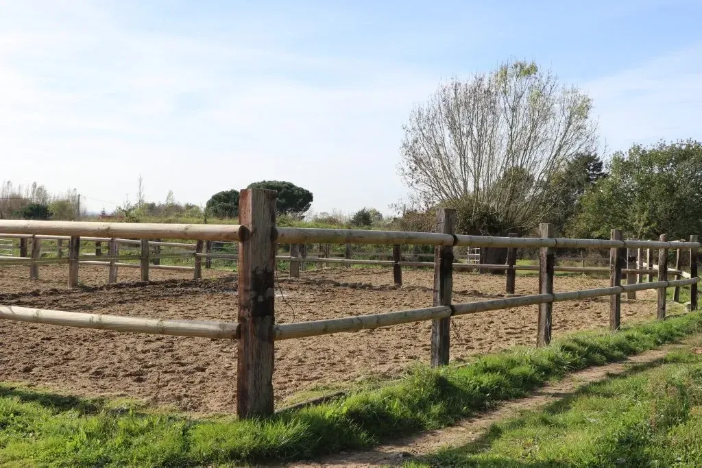 blockValue.be4dab6c-61b1-4640-875c-9355a7ec2c96.image.1.img_alt