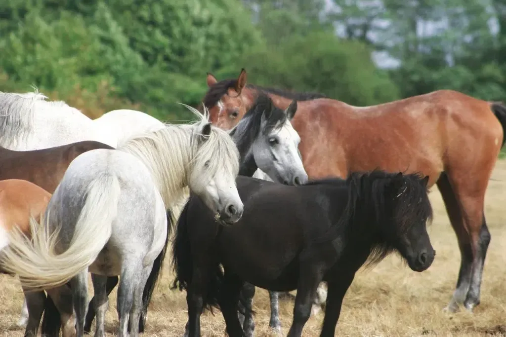 blockValue.4f9cf94e-0cb9-4988-80ec-ba18e919b8d3.img_alt