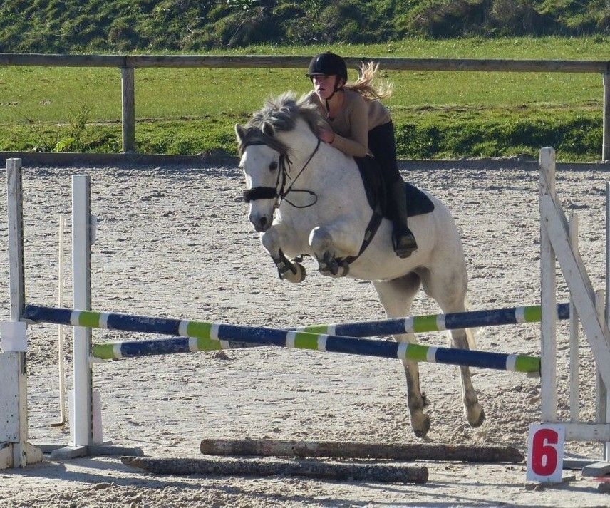 blockValue.3b0e5ba7-dea1-442e-82c2-076695767895.image.1.img_alt