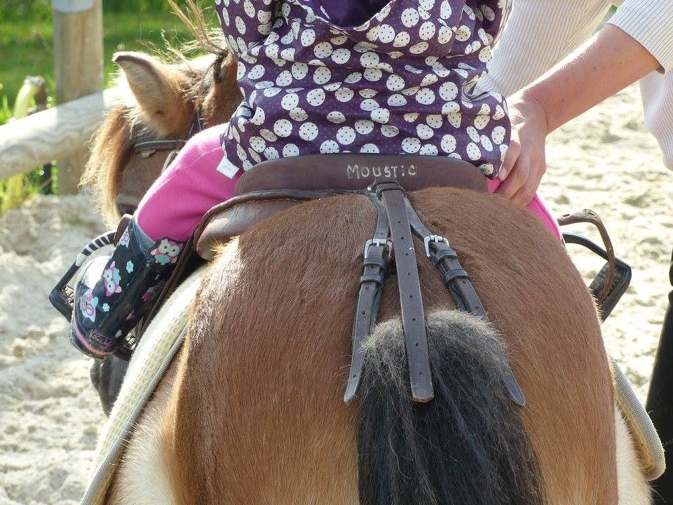 blockValue.3b0e5ba7-dea1-442e-82c2-076695767895.image.2.img_alt