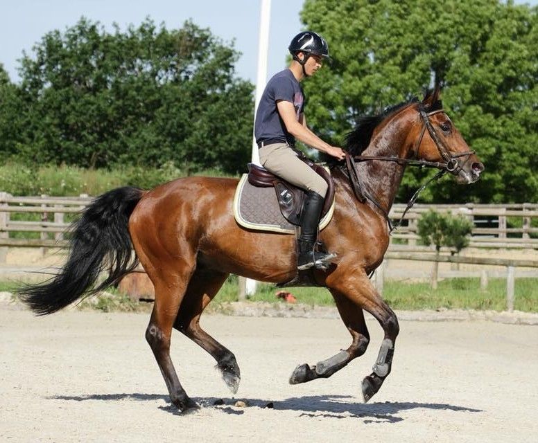 blockValue.4cb74f9a-022b-4a41-946b-0ee4f36dda81.img_alt