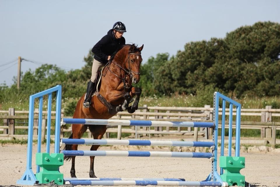 blockValue.21b10af7-4765-477f-9321-68bdb6da89bf.item.1.img_alt